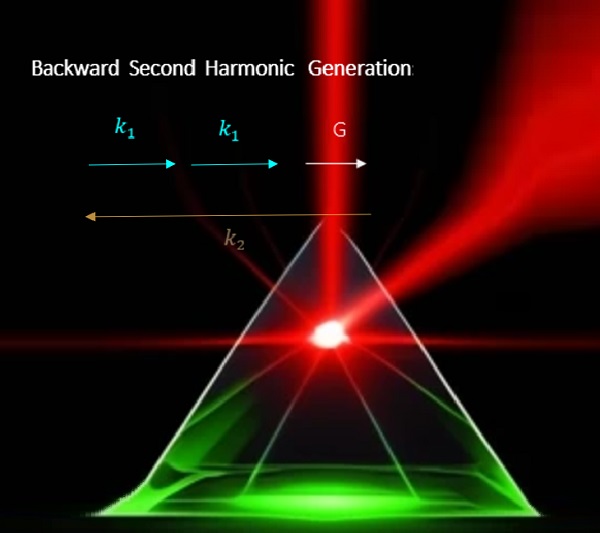 Backward-SHG.jpg